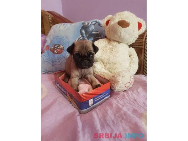 MOPS stenci na prodaju sa papirima