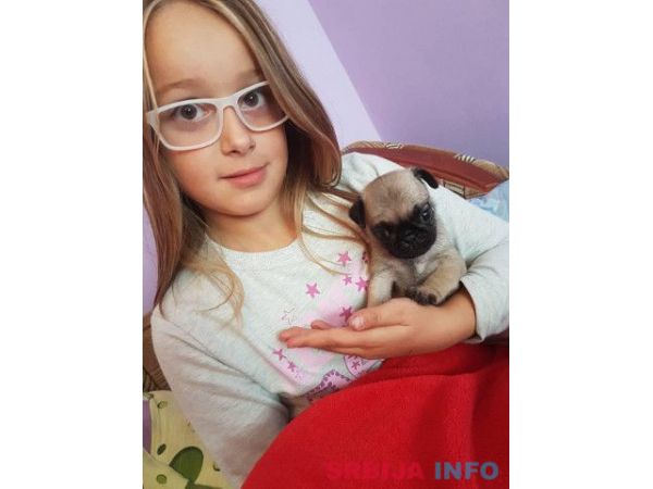 MOPS stenci na prodaju sa papirima