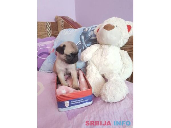 MOPS stenci na prodaju sa papirima