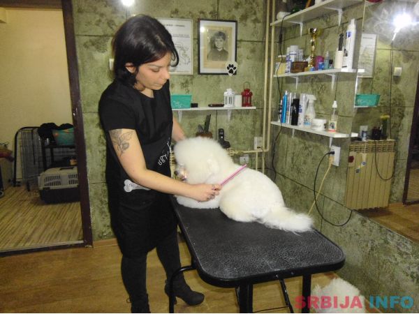 Ulepsavanje malih rasa pasa i ljubimaca