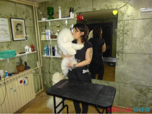 Ulepsavanje malih rasa pasa i ljubimaca