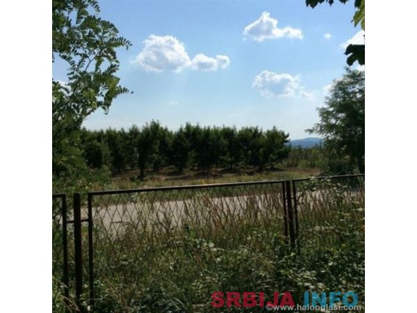 Kuca Vinca kod Topole