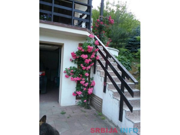 Prodajem kucu na Fruskoj Gori, Kaludjerica-Cerevic