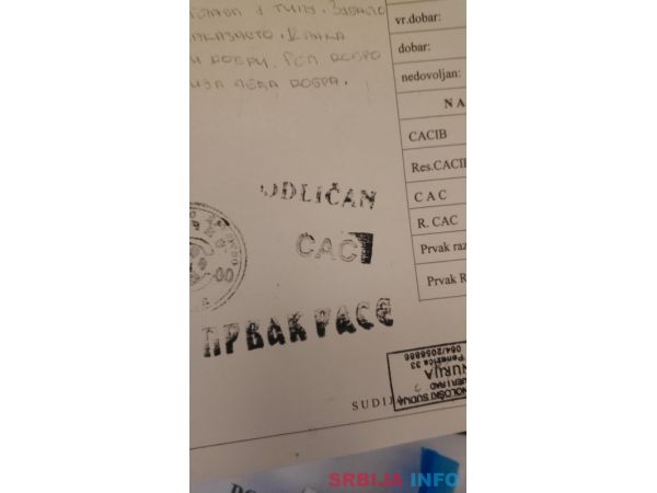 Bernski planinski pas &scaron;tenci