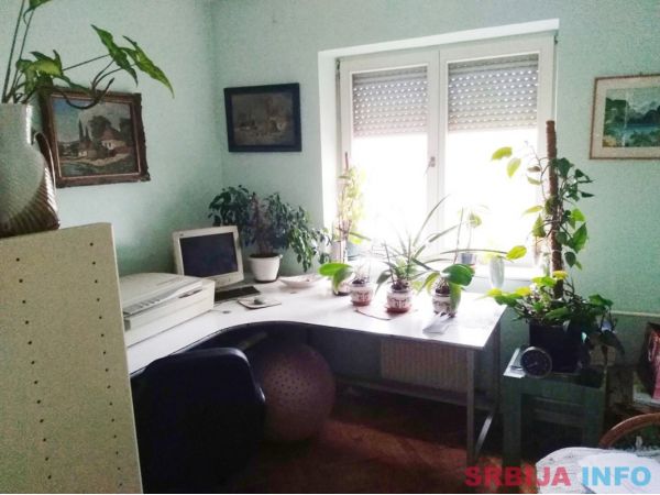 Lep trosoban stan Novi Sad