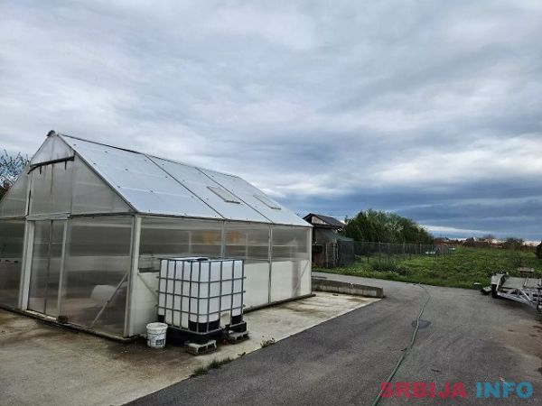 Kuca u Rajkovcu sa pomocnim objektima i placem