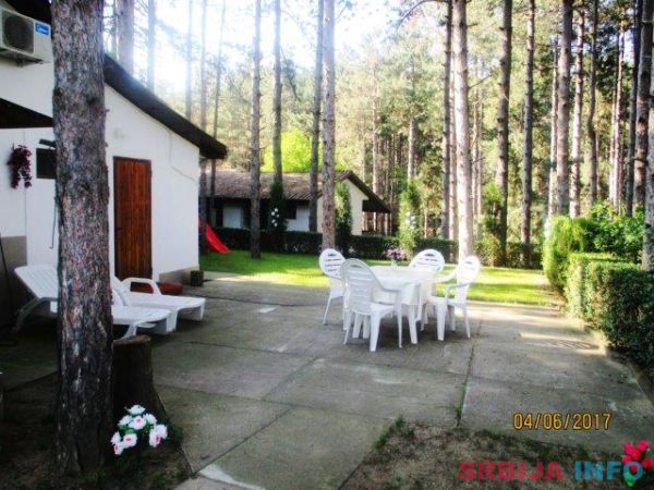 Odmor na Dunavu u borovoj &scaron;umi, povoljno