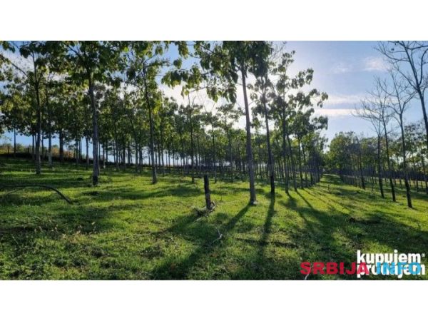 Plac 198 ari Smederevska Palanka 