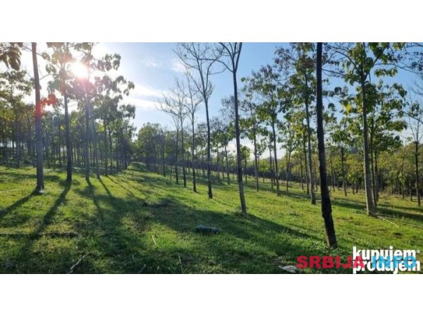 Plac 198 ari Smederevska Palanka 