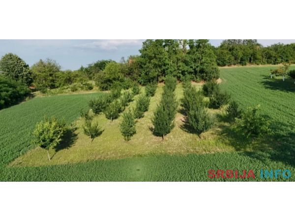 Plac Krcedin, put Janda 7700m2+materijal za izgradnju