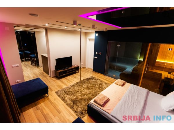 Studio Apartman Disco Spa Beograd Novi Beograd