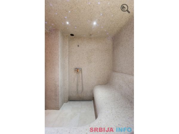 Studio Apartman Disco Spa Beograd Novi Beograd