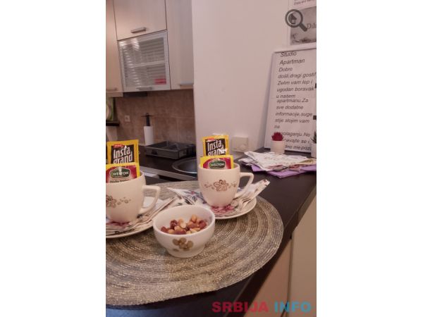 Studio Apartman Dilajla Beograd Zvezdara