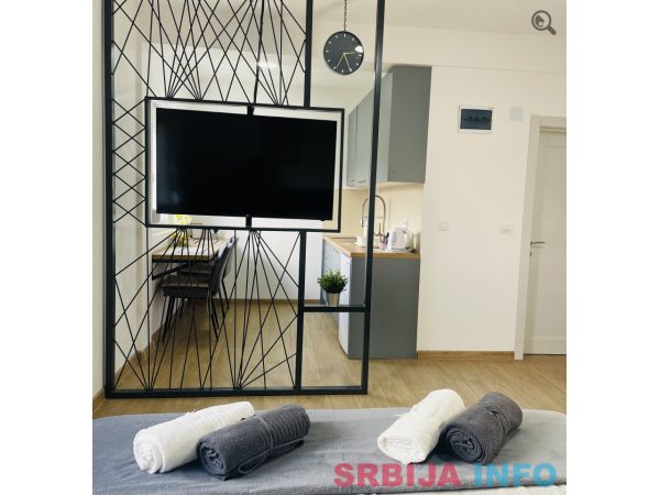 Studio Apartman Nikola Tesla Beograd Sur  in