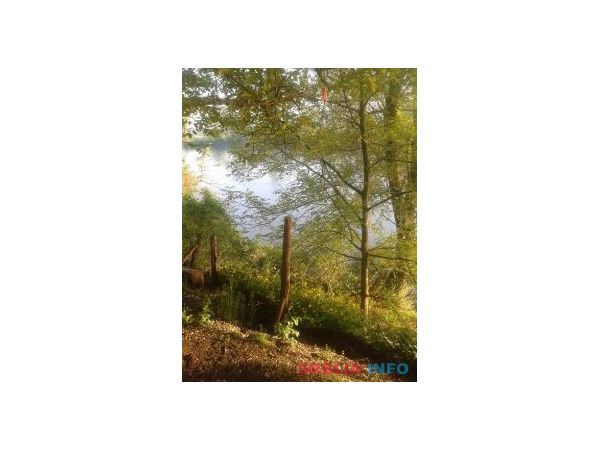 Vikendica na obali Zapadne Morave