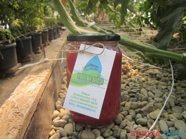 DOMACI KECAP IZ VODENE BASTE