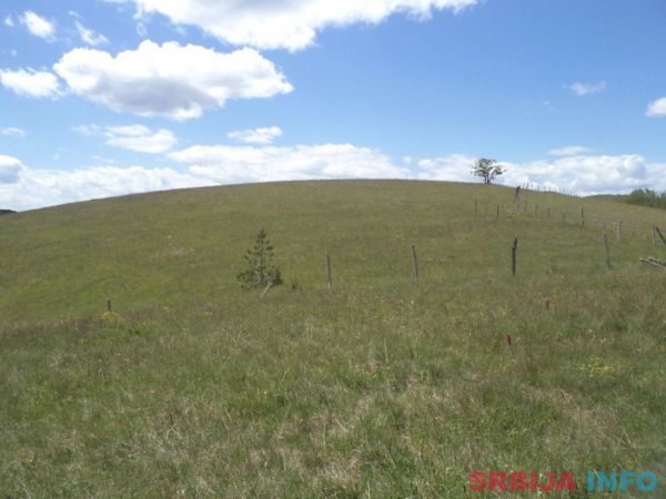 Zemljiste na prodaju-Zlatibor