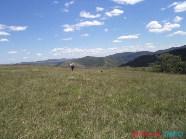 Zemljiste na prodaju-Zlatibor