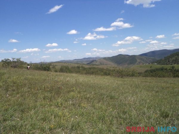 Zemljiste na prodaju-Zlatibor