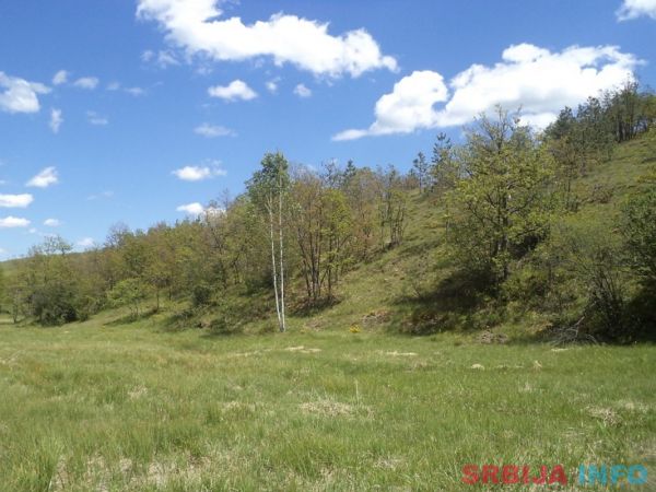Zemljiste na prodaju-Zlatibor