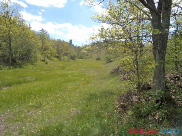 Zemljiste na prodaju-Zlatibor