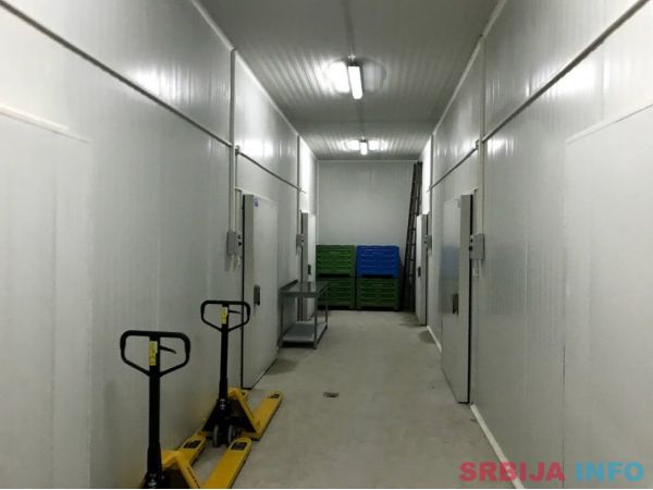 Hladnjaca-Backo Gradiste