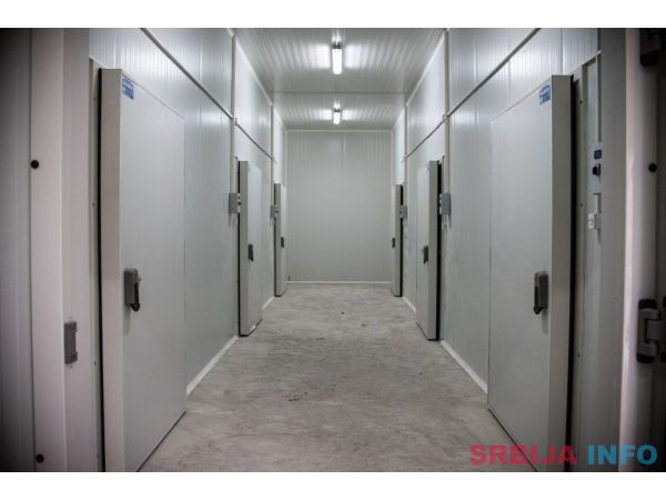 Hladnjaca-Backo Gradiste