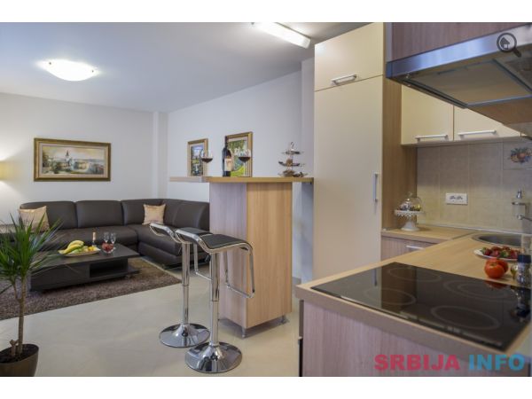 Dvosoban Apartman Nikolina Beograd Savski Venac