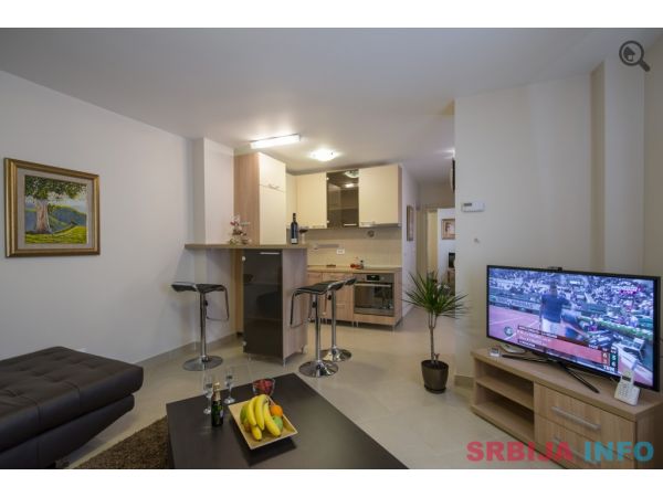Dvosoban Apartman Nikolina Beograd Savski Venac