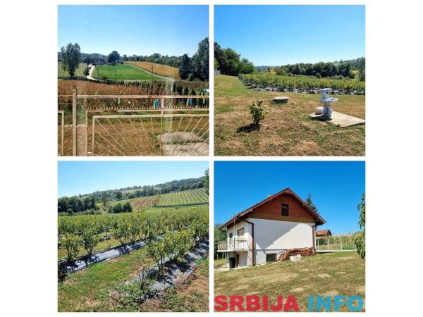 Kuca sa plantazom u blizini Smederevske Palanke