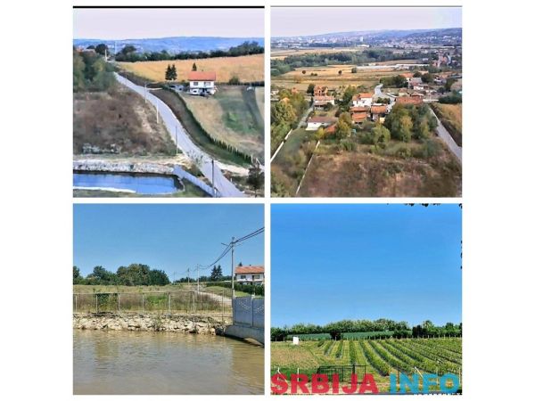 Kuca sa plantazom u blizini Smederevske Palanke