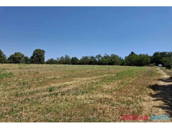 Vidikovac njiva-pored magistralnog puta Smed. Palanka-Raca