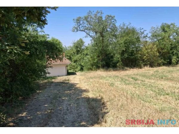 Vidikovac njiva-pored magistralnog puta Smed. Palanka-Raca