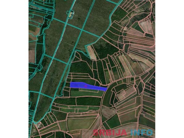 Odlicna investicija, odlican pogled