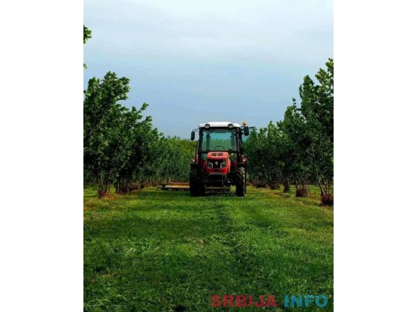 Plantaža le&scaron;nika-Sremska Mitrovica-Ležimir 378ari