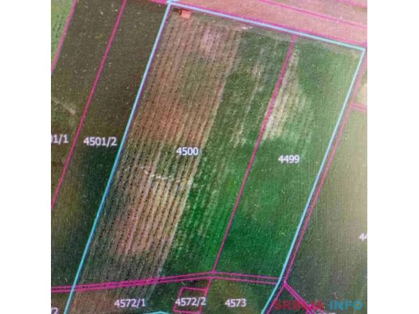 Plantaža le&scaron;nika-Sremska Mitrovica-Ležimir 378ari