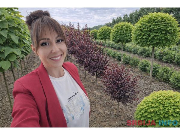 Ukrasne i vocne sadnice Rasadnik Prestiž