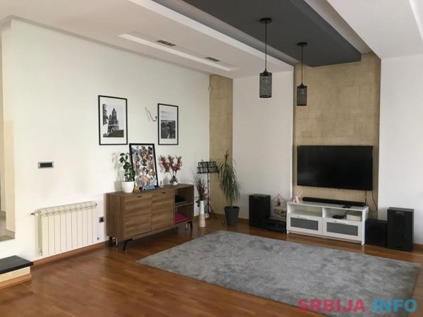 Izdaje se porodicna kuca u Zemunu