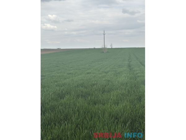 Na prodaju dve parcele Irig-Rivica