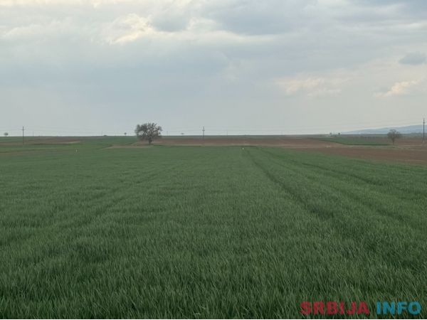 Na prodaju dve parcele Irig-Rivica