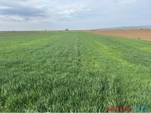 Na prodaju dve parcele Irig-Rivica