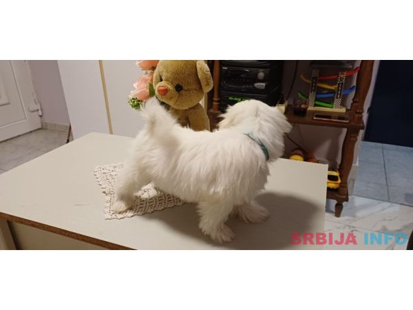 Na&scaron;a prelepa devojčica je dobila prelepe &scaron;tence