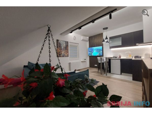 Dvosoban Apartman Zevs Oaza Beograd Surcin