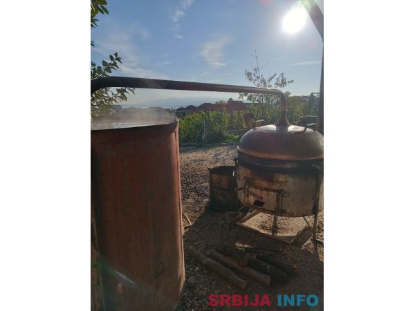 Domaća &scaron;ljivovica 