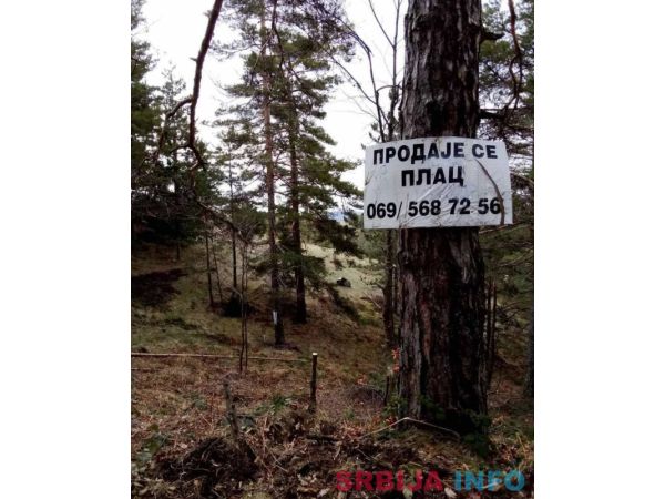 Prodajem plac na Divčibarama