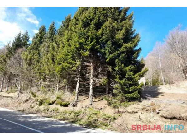 Prodaja parcela na Goliji (gradjevinsko zemljiste sa dozvoljenom gradnjom)