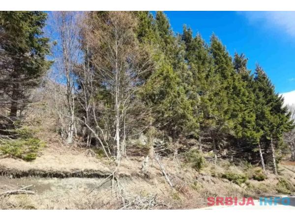 Prodaja parcela na Goliji (gradjevinsko zemljiste sa dozvoljenom gradnjom)