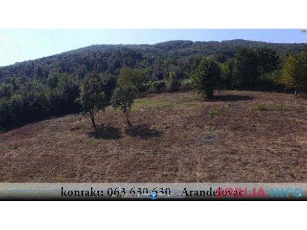 Direktna prodaja placa-18000m2-Arandjelo