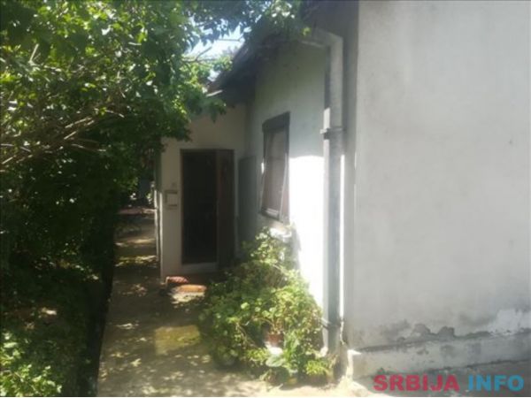 Prodajem kucu-Teodora Drajzera