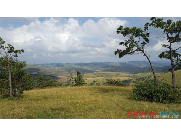 Zlatibor-Gajevi, plac